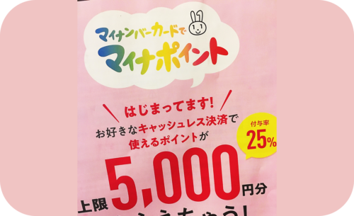 マイナポイント制度で5000円